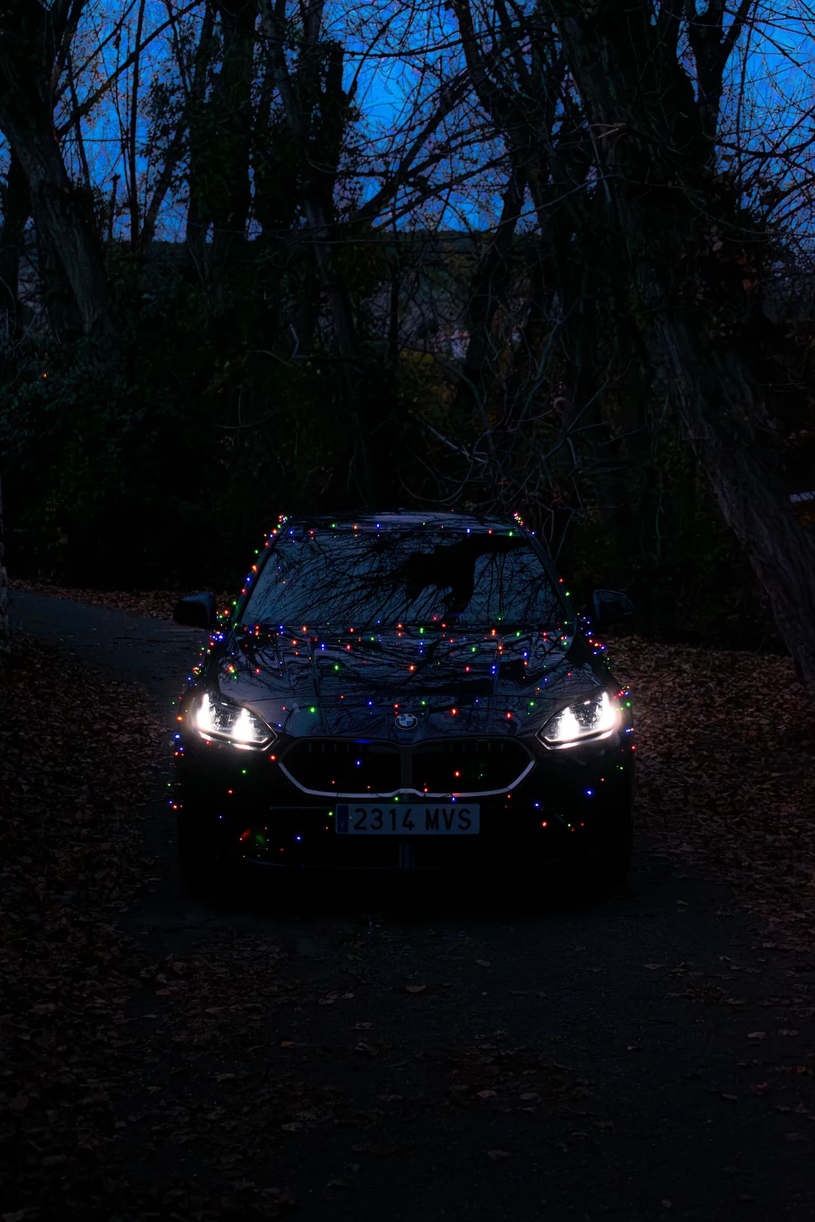 BMW Serie 1 Navidad