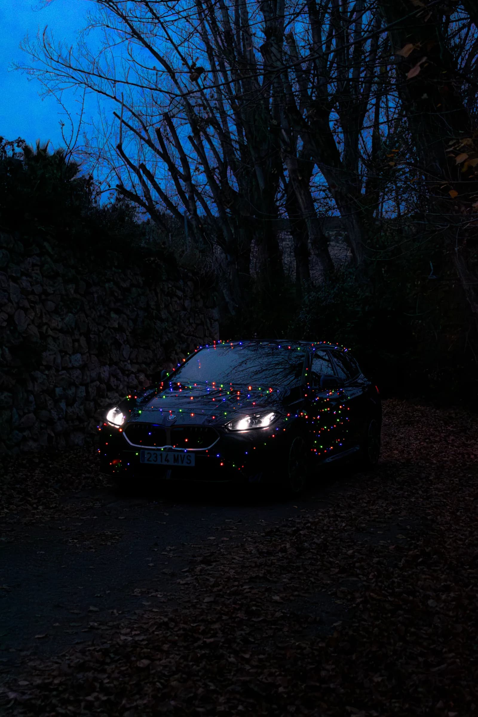 BMW Serie 1 Navidad — 03