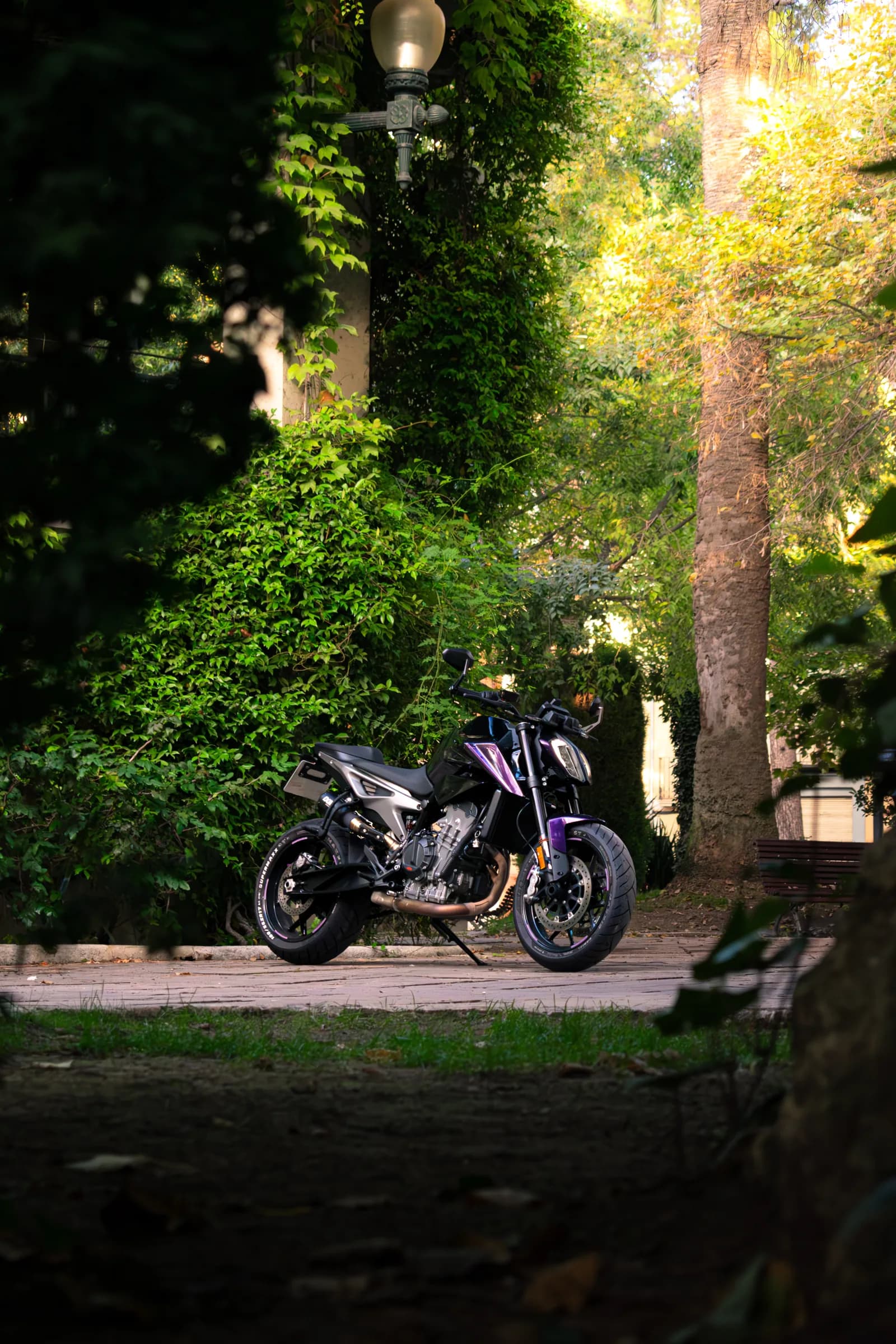 KTM Duke 790 — 01