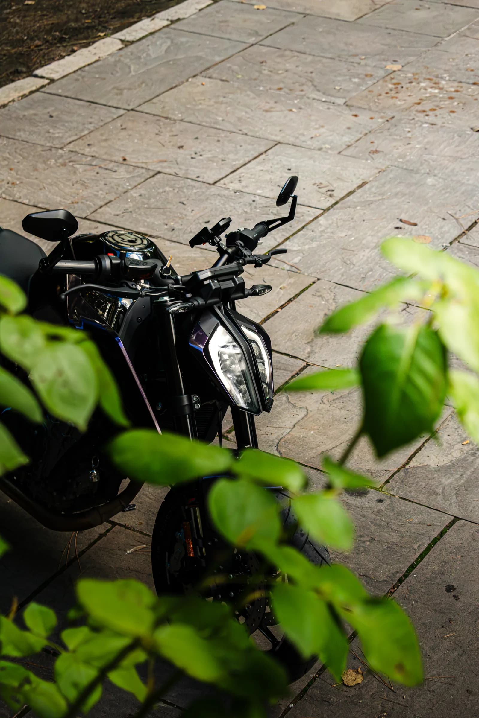 KTM Duke 790 — 08